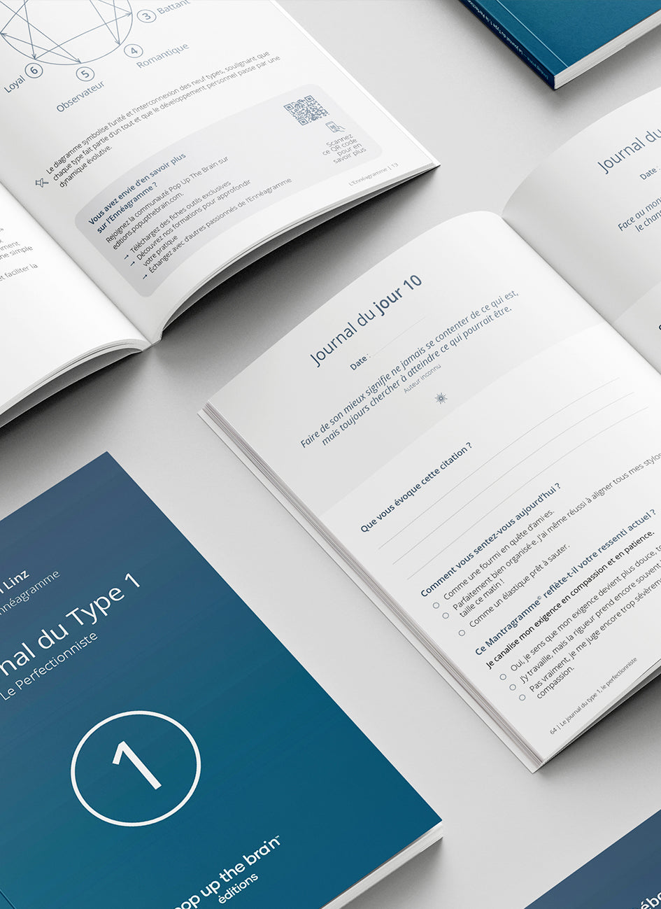 Le journal du Type 1 de l'Ennégramme, le Perfectionniste